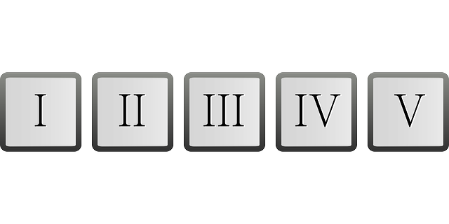 roman numeric number XIV