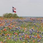 Spring Texas